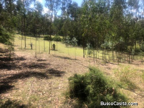 Venta Terreno en la Esperanza del Quinche