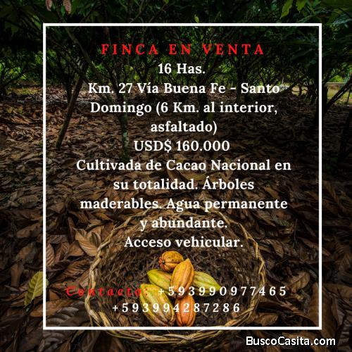 Finca en Venta cultivada de cacao