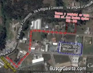 Terreno con alta RENTABILIDAD 