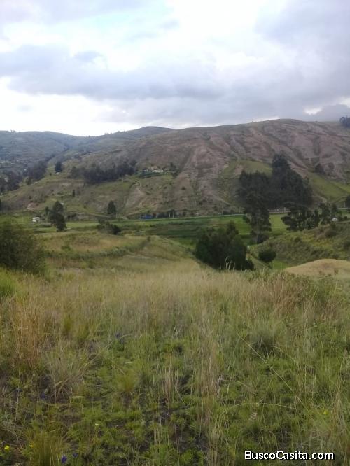 Venta de terreno de 3.8 hectáreas, papeles al día