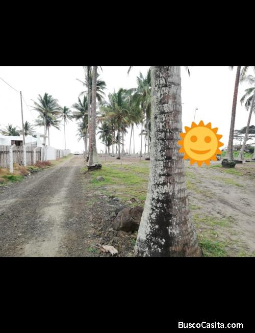 Terreno en Carrizales - Cojimies 70 metros del mar 