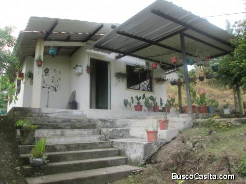 VENDO TERRENO DE 4000 METROS CUADRADOS CON CASA