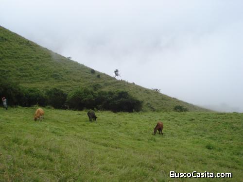 Propiedad en venta en Alausi -Linge - Chimborazo