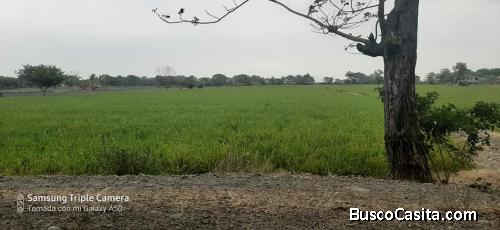 Venta de terreno con los papeles en regla.