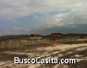 VENDO SOLARES 1.000m2. PRECIO NEGOCIABLE. Sector Playa El Pelado/Cerca a Karibao