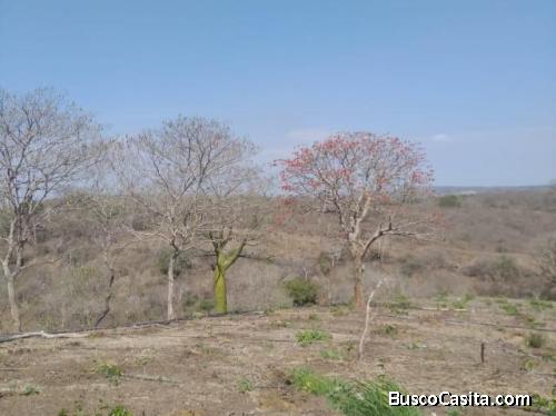 VENTA DE TERRENO PARROQUIA PROGRESO GUAYAQUIL