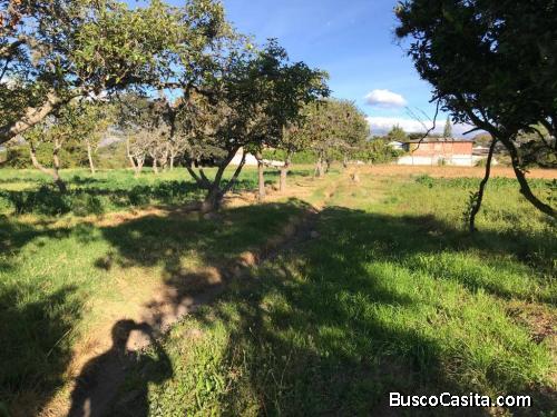 PROPIEDAD TUMBACO ZONA RESIDENCIAL