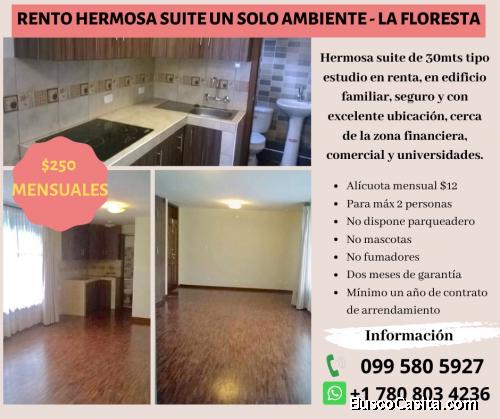 Rento hermosa Suite un solo ambiente - La Floresta 