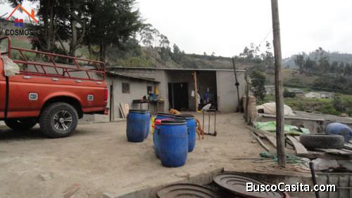 Se vende 5.000 m2 con infraestructura (chancheras) y vivienda en Otavalo – Quichinche
