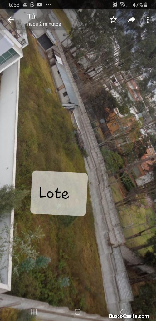 Ventavterreno Monteserrín