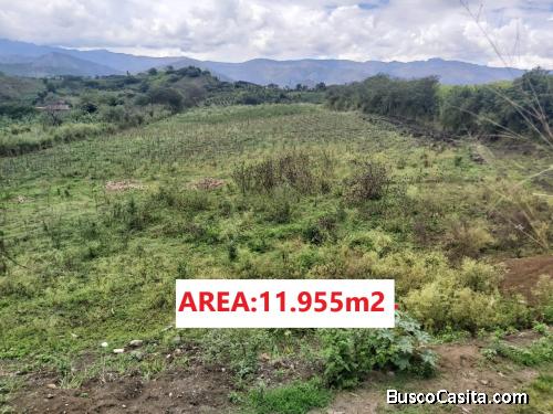 TERRENO A BUEN PRECIO EN MALACATOS SECTOR EL SAUCE 