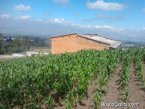 Oportunidad !!  Venta Terreno 8.5 ha  sector Checa 