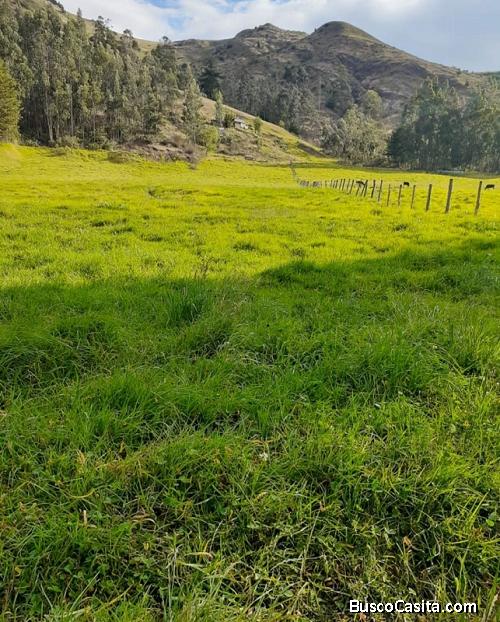 Dueño vende hermoso terreno Cumbe-Loja 