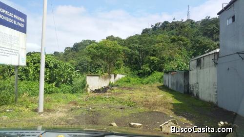 TERRENO 51360 m2 EN BOMBOLÍ - SANTO DOMINGO