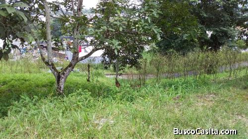 TERRENO 675 m2 EN BOMBOLÍ - SANTO DOMINGO