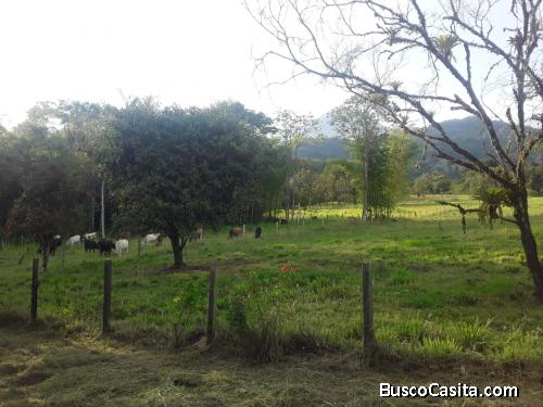 Venta de finca con casa 4 hectáreas 