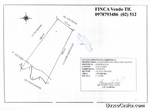 Finca Vendo 24,80 Has. 80.000 dólares (3.225,806 $ hectárea) Frente Atacames 20Min. Tlf. 0978793486 