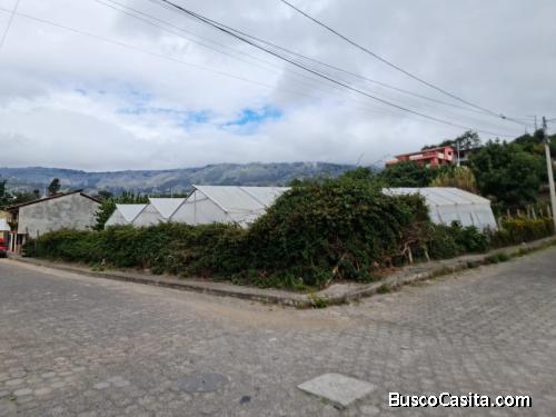 TERRENO EN VENTA EN EL CENTRO DE PATATE EL VALLE DE LA.ETERNA PRIMAVERA