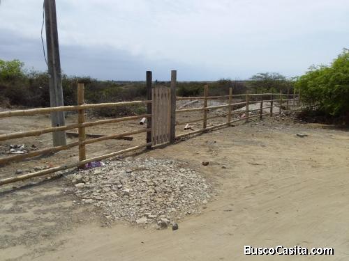 Se Venden lotes de terreno desde 100mts 