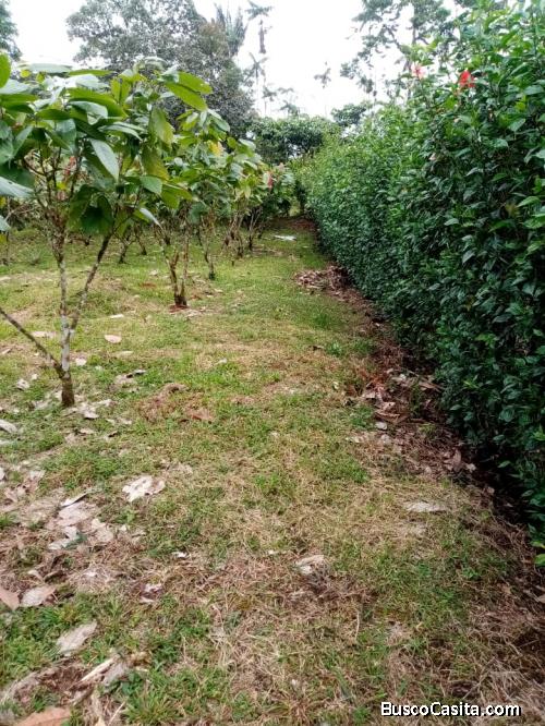 Oportunidad quinta frutal de 1500m en Pedro Vicente Maldonado $25.000