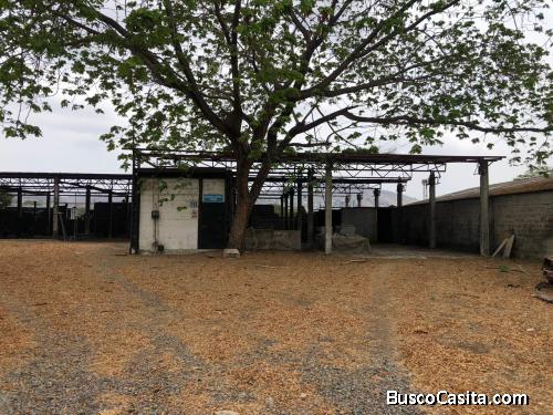 VENTA DE PLANTA INDUSTRIAL VÍA DAULE CON EDIFICACIÓN Y GALPONES