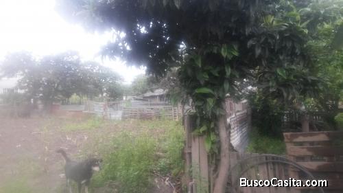 Terreno de 400 mtr2  en llano grande 