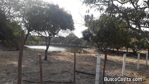 Vendo Terreno para Fincas pequeña  en LOMAS DE SARGENTILLO