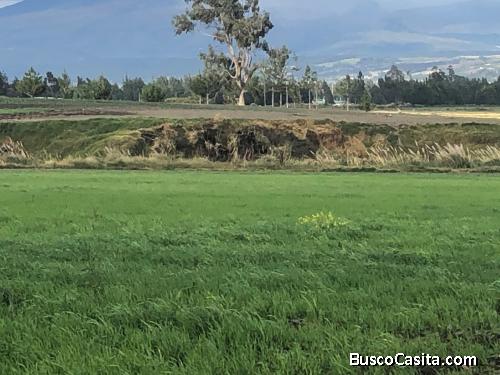 Venta de 52 hectáreas de terreno 