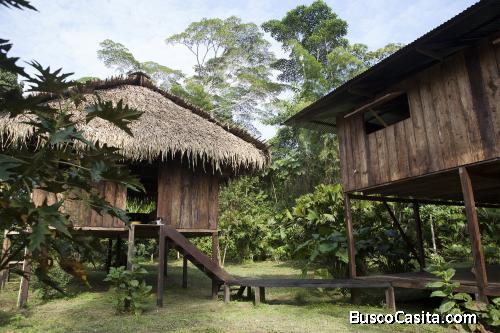 Preciosa tierra en la selva ideal para eco-turismo