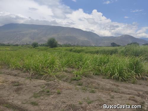 HERMOSA FINCA EN SALINAS