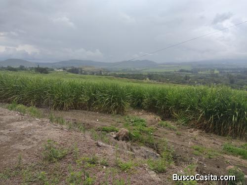 HERMOSA FINCA ES SALINA