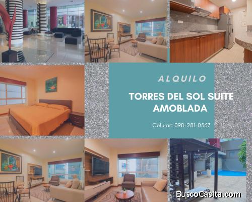 TORRES DEL NORTE ALQUILÓ SUITE AMOBLQDA 
