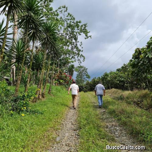 Hermosa finca cacaotera en Bucay con dos ríos caudalosos