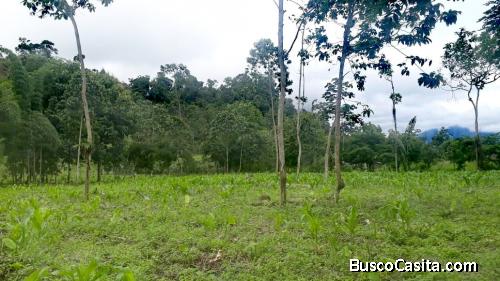 LOTE DE TERRENO EN VENTA