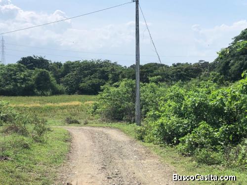 VENTA DE TERRENO KM 35 VÍA DAULE 26.526 MTS2 