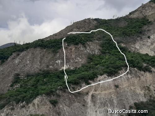 Venta de Terreno - Huerta Frutal - Puéllaro