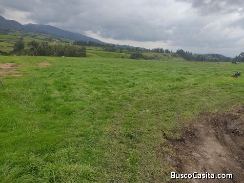 UNA HECTÁREA PLANA A LA PANA VÍA CAYAMBE OLMEDO