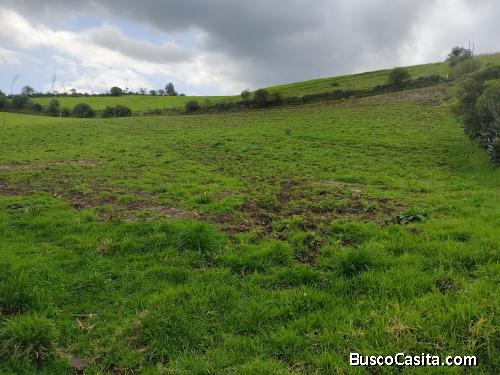 VENTA DE 3 HECTÁREAS EN CARIACU- CAYAMBE