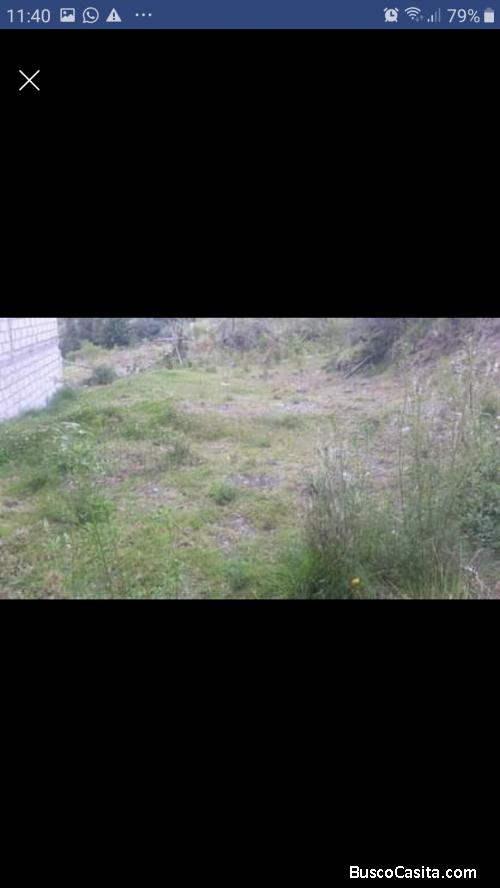 Lindo terreno de 600 metros via a jadan sector Vegaspamba