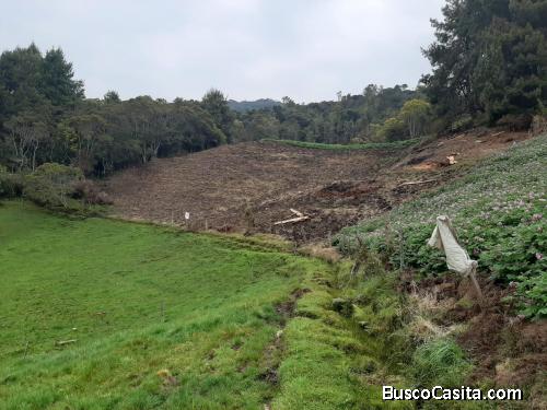 Hacienda para ganaderia o para proyectos turistico sostenible.