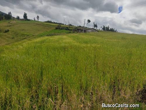 DE VENTA 5 HECTÁREAS EN CHAUPI CAYAMBE