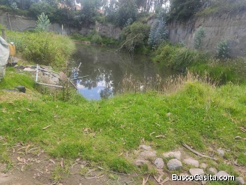 VENTA DE 6 HECTARIAS VÍA GUÁCHALA EN CAYAMBE