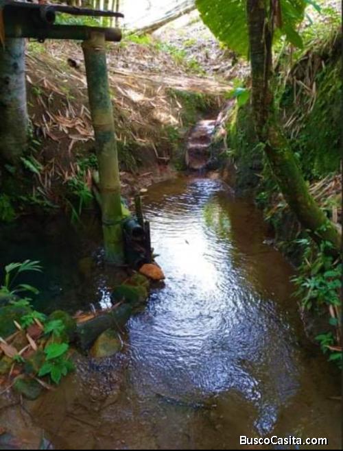 VENDO HERMOSA FINCA EN PUERTO QUITO