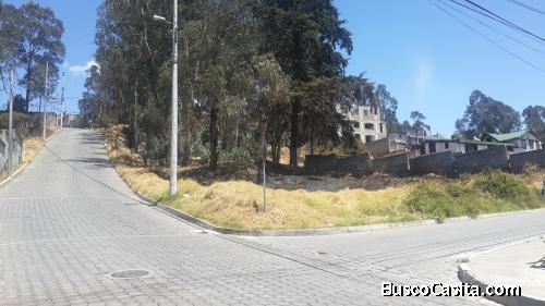 San Isidro del Inca - Esquinero