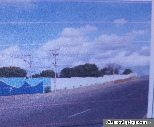 VENDO FABRICA DE PLANTA HARINA Y ACEITE PESCADO. JARAMIJO. VIA COLISA