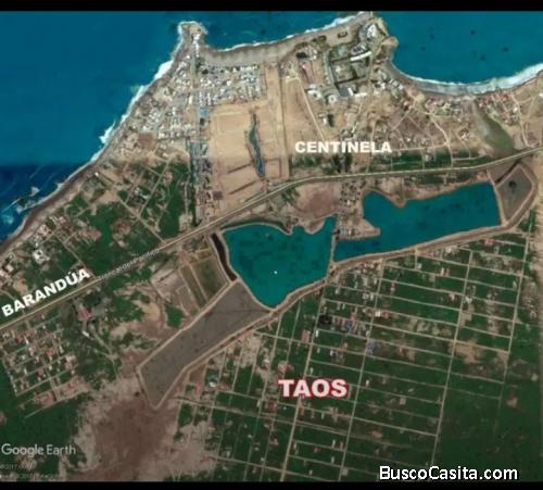 De oportunidad 2 terrenos en venta