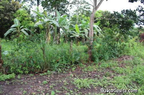 DOS SITIOS A PRECIO DE REMATE