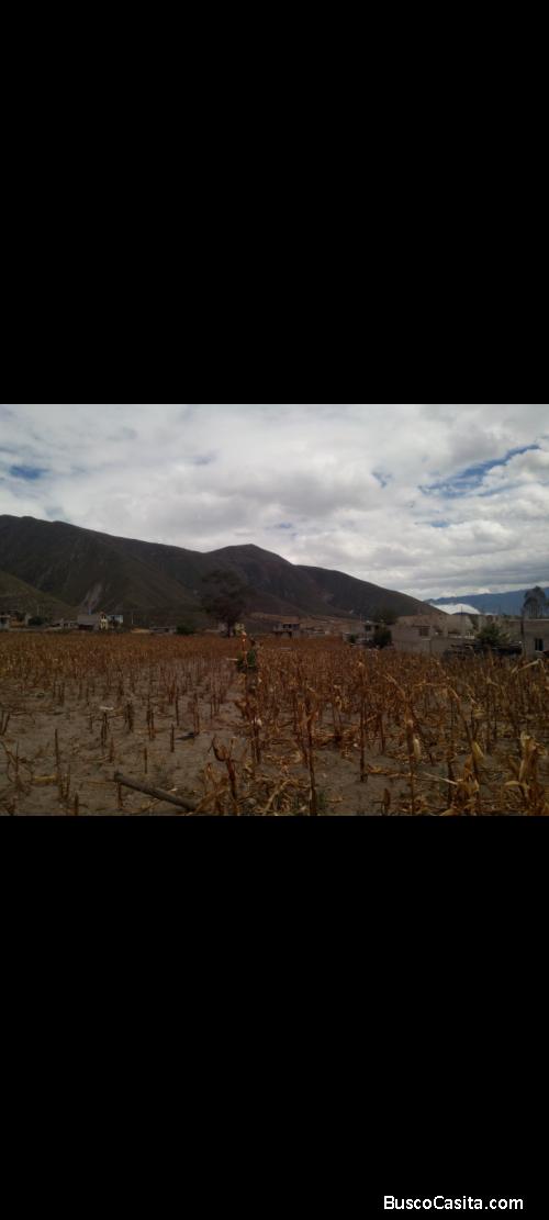 TERRENO EN VENTA SECTOR A POCOS KM DE SAN ANTONIO DE PICHINCHA
