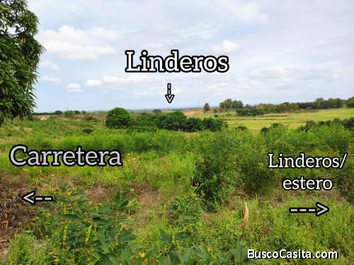 Hermoso Terreno-Apto para agricultura, Isidro Ayora-Guayas-Ecuador