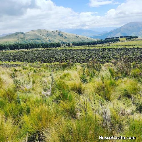 10 Hectáreas en venta Olmedo- Cayambe